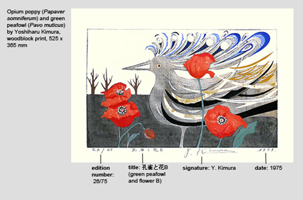 Contemporary Picture Border